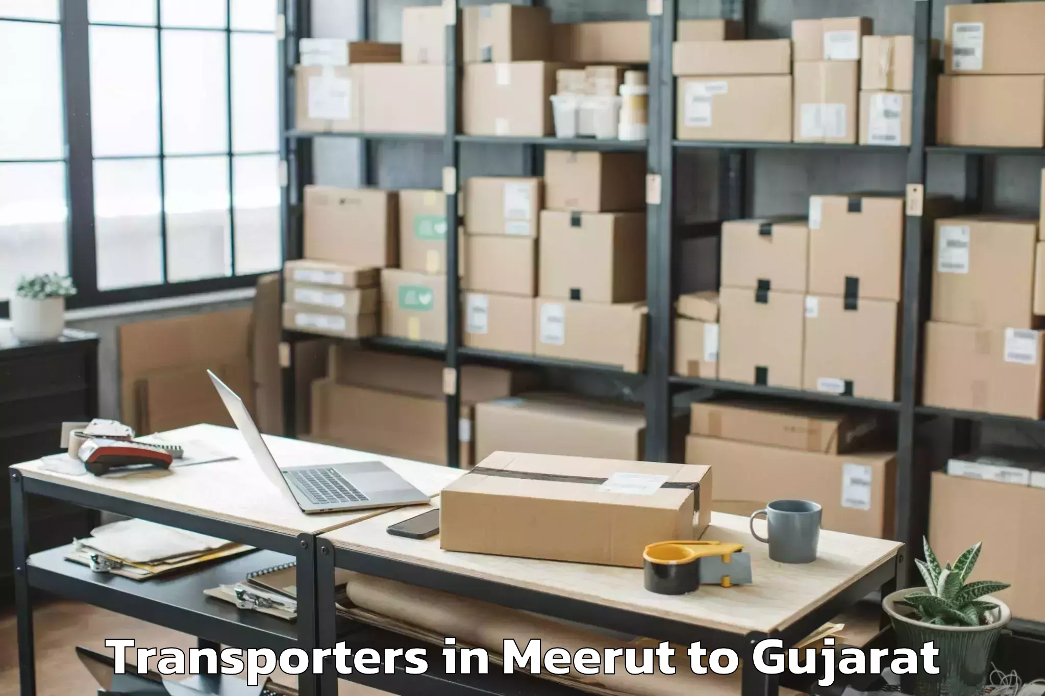 Leading Meerut to Netrang Transporters Provider